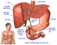 Các biến chứng của bệnh tiểu đường